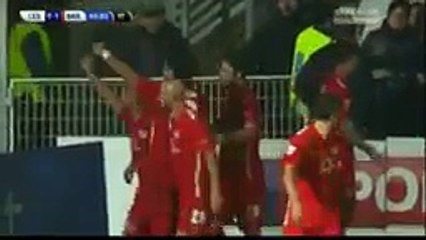 Cesena - Bari 0-1. Giuseppe De Luca Goal. Serie B 15⁄11⁄2015