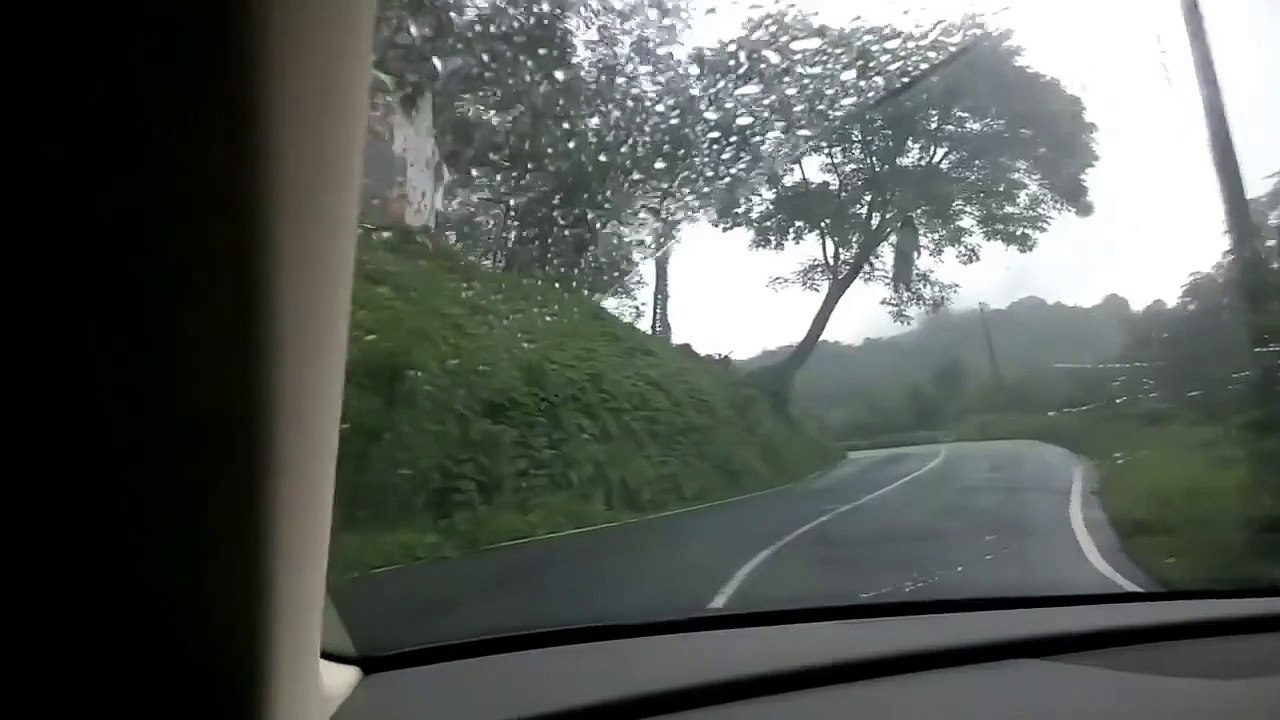 Niña Ahorcada En Un Árbol - No lo veas