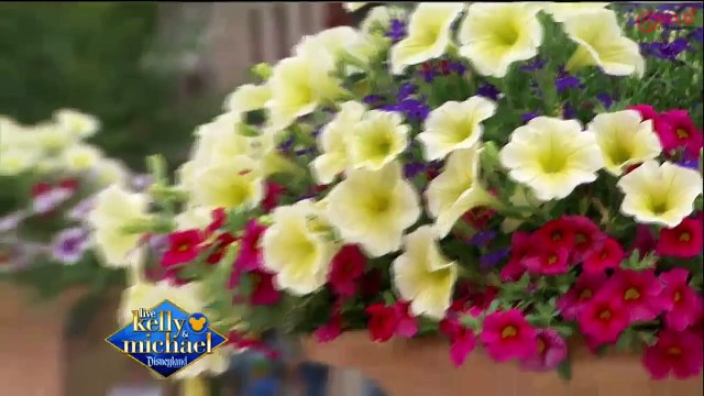 Christina Aguilera Interview - Live with Kelly and Michael 2015