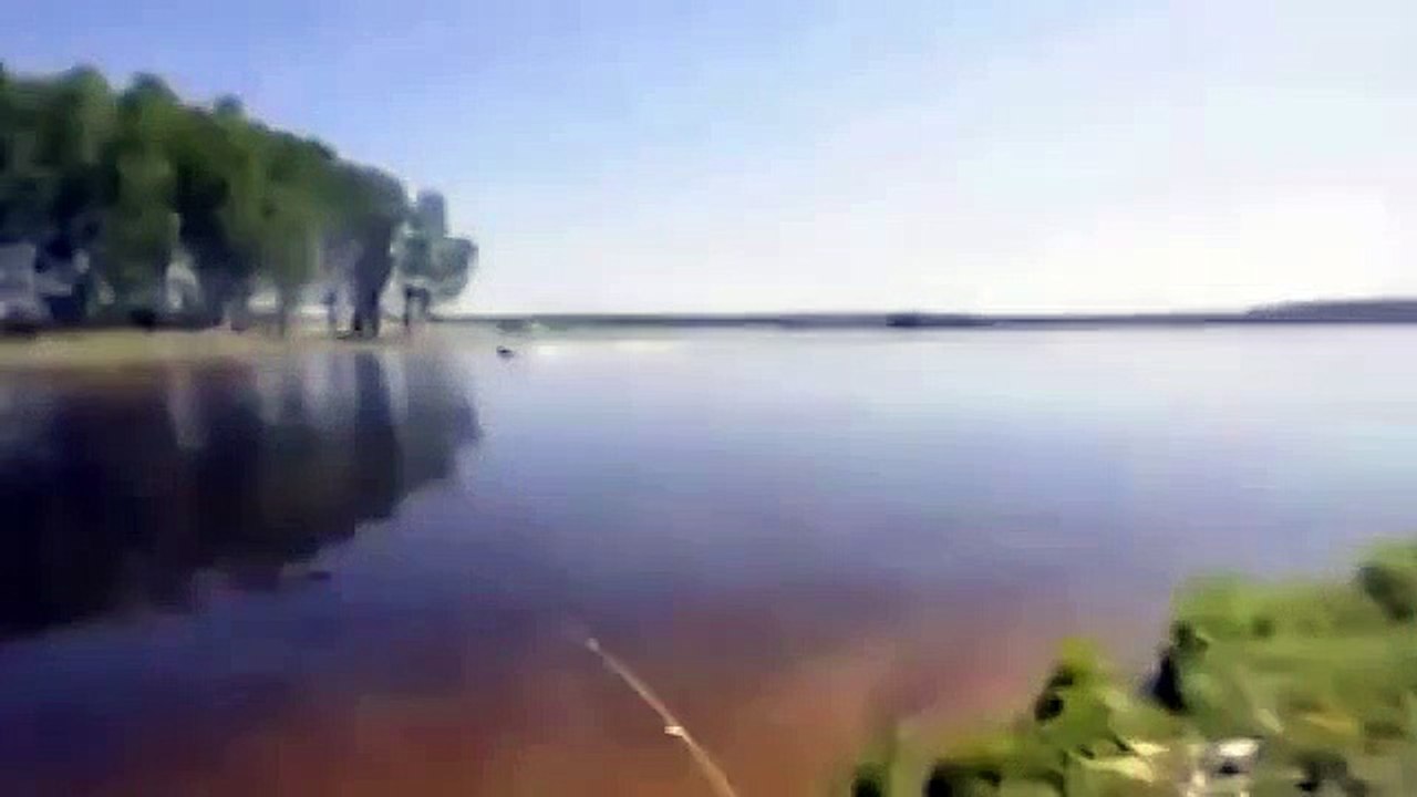 Умора дня, и в кино такого не увидишь! СМОТРЕТЬ ВСЕМ