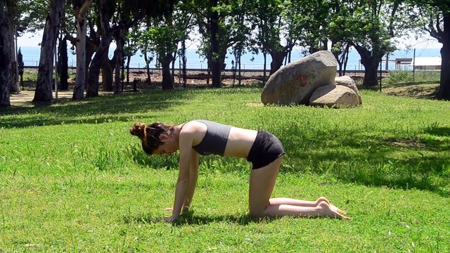Yoga Pilates Vod - Adho Mukha Svanasana