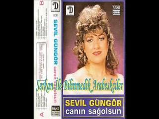 Sevil Güngör - Seni Anlıyorum