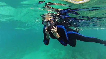 Sunny Day Interludes Vol. 5 Snorkeling Electric Beach