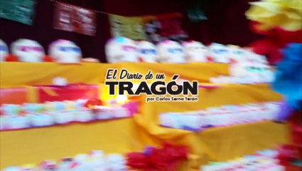 Diario-Tragon - Parque-Morelos 2014