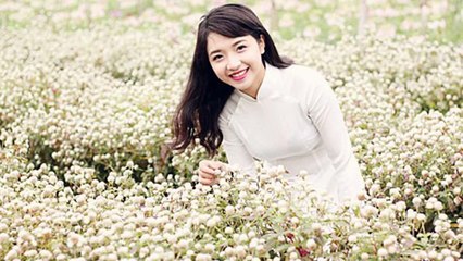 Liên Khúc Nhạc Xuân 2015 Không Lời - Nhạc đón xuân vui nhộn