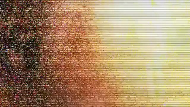 Sherif Omeri - Lêxin Ft Renas Miran (Lyrics)