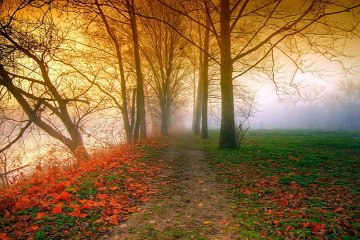 very imotional bayan by mulana tariq jameel