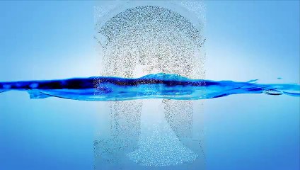 lace wedding dresses nz