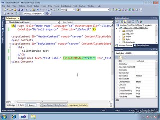 ASP.NET 4.0 C# New Features - ClientId control - Demo - EnablePersistedSelection