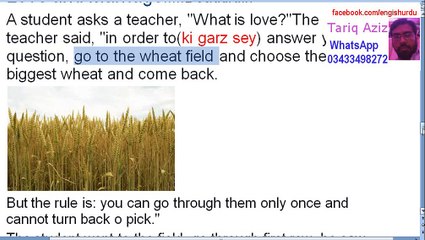 Boost Your English Skills with This Week's Love & Marriage Story ❤️