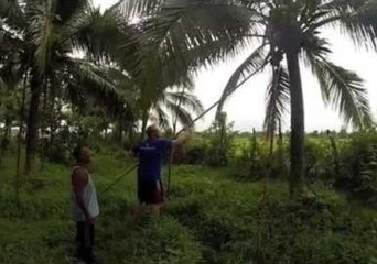 Music Video Captures Magical Visit to Thai Island
