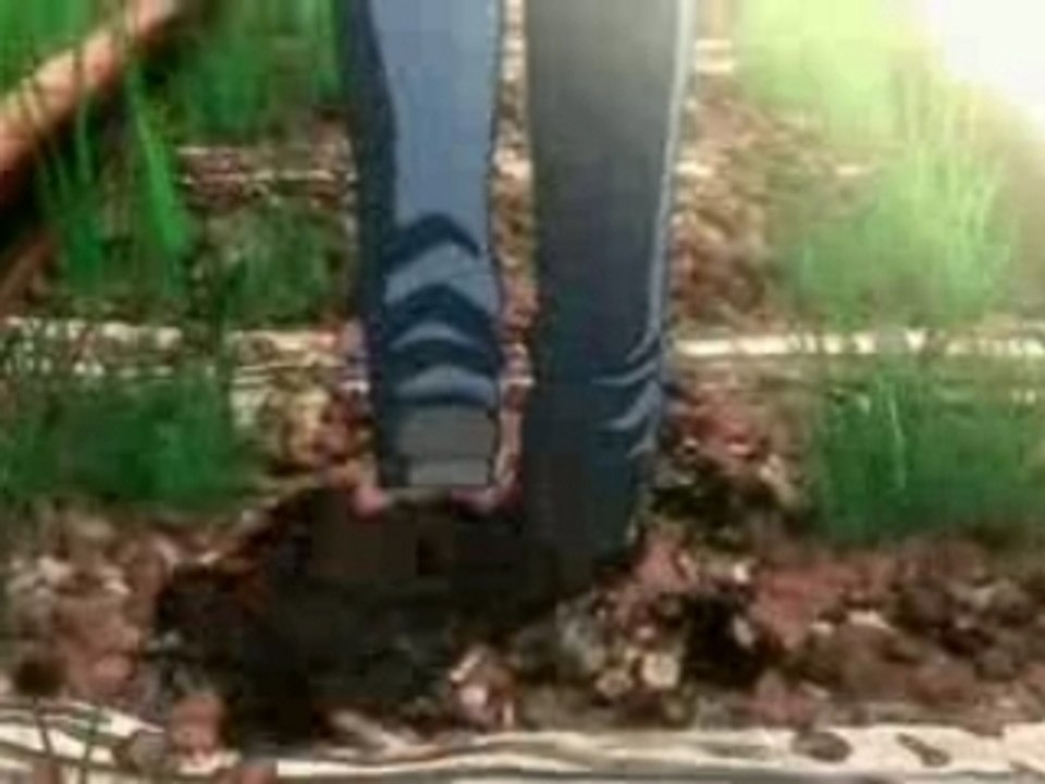 AIR・オープニング