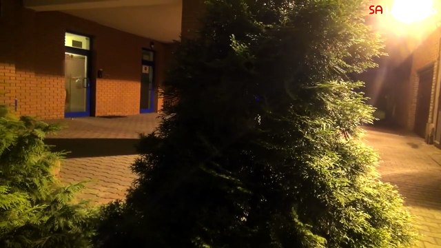 Мой хозяин идиот :) или собака паук