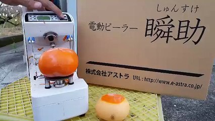 Apple peeling machine