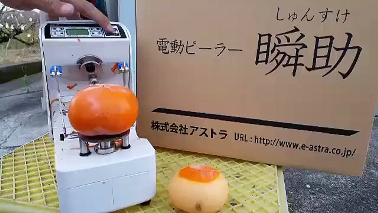 Apple peeling machine