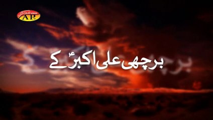 AsadAgha-Barchi Ali Akbar a.s ki-2015