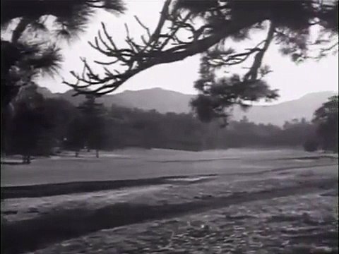 Texas Terror (John Wayne) (1935) - Watch Western Movies Online (Full Length)