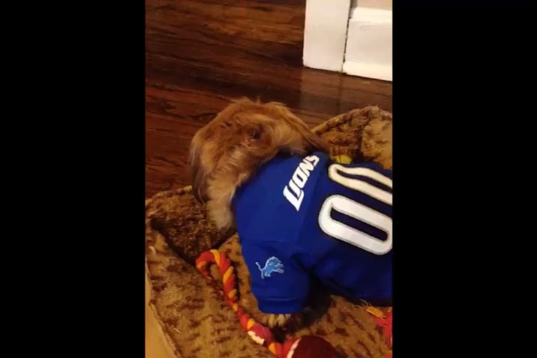 Dog Won't Give Back Bone