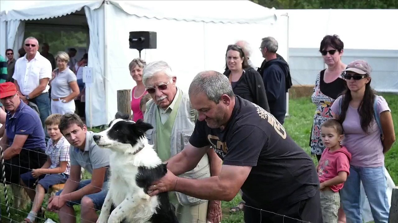 Pôle chiens de troupeaux - Tech Ovin 2015