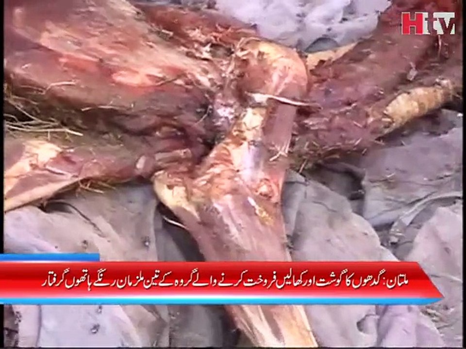 Multan Donkey Meat News - HTV