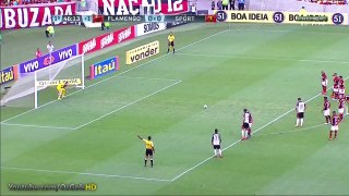 Gol de Diego Souza, Flamengo 2 x 2 Sport Brasileirão 17/05/2015