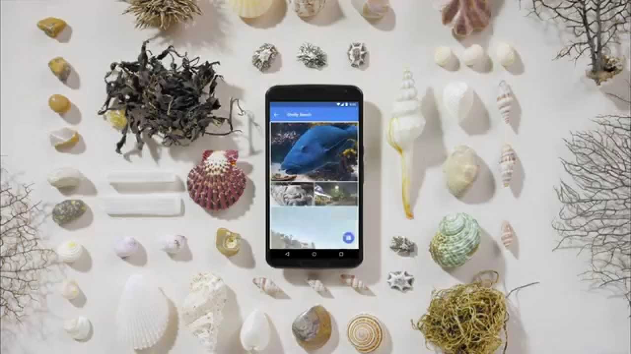 Share your world with Google Local Guides