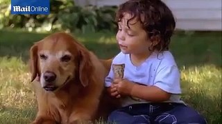 Two Toddlers share ice cream with pet dogs