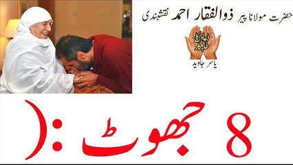 Mari Maa Kay 8 Jhoot By Peer Zulfiar Ahmed Naqshbandi