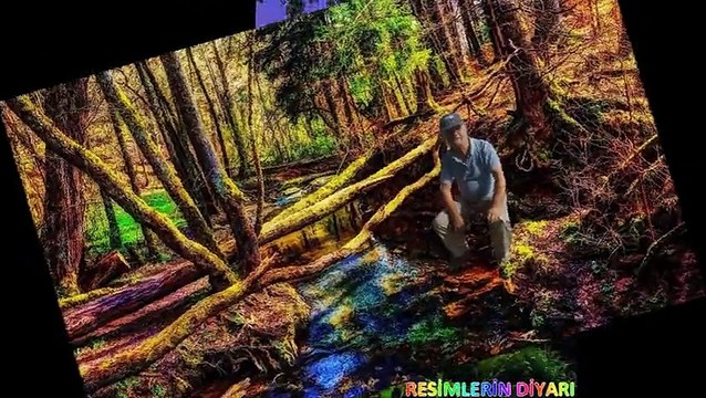 RESİMLERİN DİYARI- UZAYIN ÇİÇEĞİ MARON - MİMAZO ÇİÇEĞİM