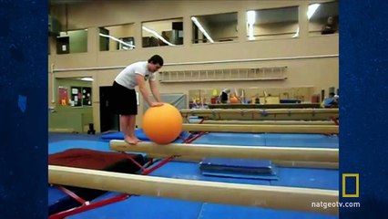 Watch Science of Stupid Videos Online - National Geographic Channel - UK