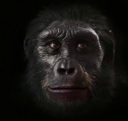 Awesome Video about Evolution stages of man