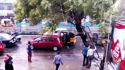 Chennai Rains  Dramatic Footage Of A Tree Falling On A Car