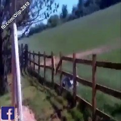 I can t stop watching and stop laughing