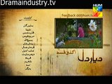 Dayar e Dil Episode 23 Promo on Hum Tv