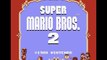 Super Mario Bros 2 Nintendo Nes Test 55