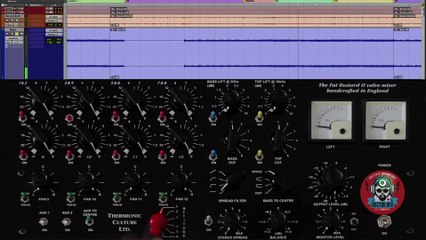 Mixing Bass: Thermionic Culture Fat Bustard