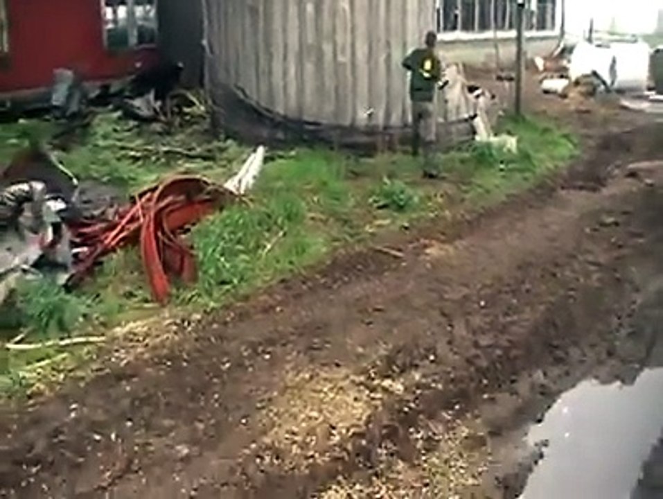 One hammer kills it all