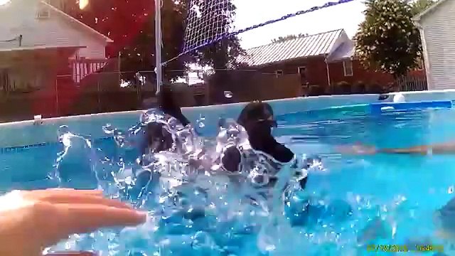 Un homme découvre que les poules flottent