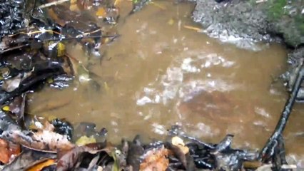 대구오피후기(바디천사)서울오피