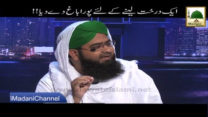 Ek Darakht Lanay kay liye Pura Baagh Dey Diya! - Short Bayan