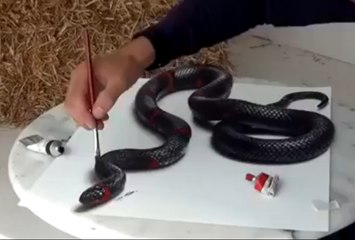 Awesome 3D Painting Optical Illusion