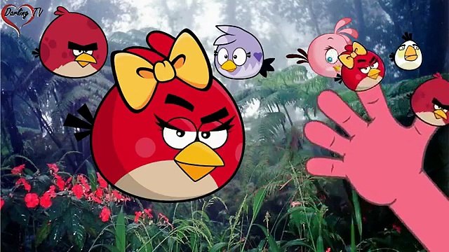 Angry birds Finger Family Nursery Rhymes _ 2D Animation In HD From Darling TV Channel , Animated cartoon watch online free 2016