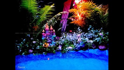 Вечернее освещение сада.