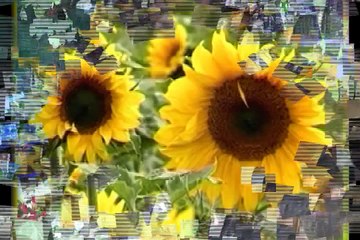 Waryam Urs Shareef Khawaja Ghareeb Nawaz RA 2015 Part 8