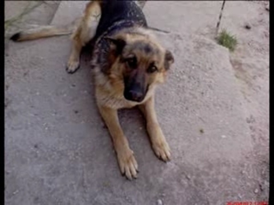 Un p'tit coin d'paradis