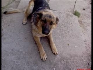 Un p'tit coin d'paradis