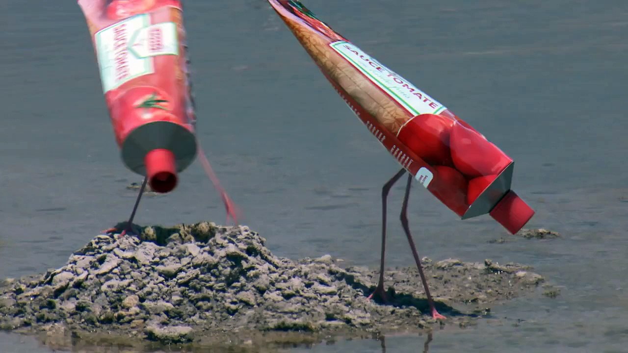 M&C Saatchi GAD pour les banques alimentaires - «La Migration des dons» - novembre 2015