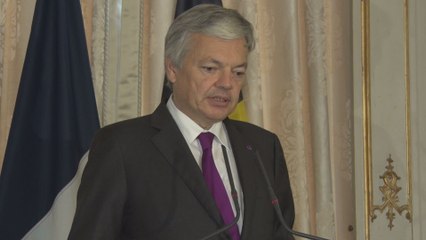 Attentats à Paris : "la solution doit être essentiellement politique", selon Reynders