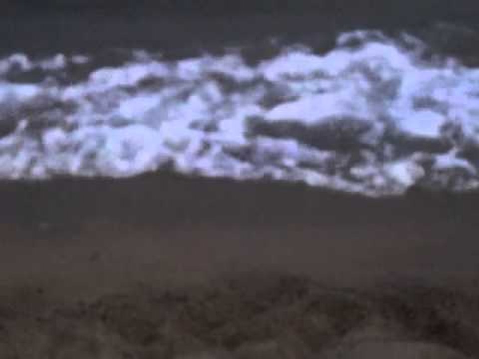 Nestea Beach 2013 at the Acua Verde Beach Resort in Laiya, Batangas Part 10