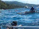 Close Encounters with the Whale Sharks of Cebu